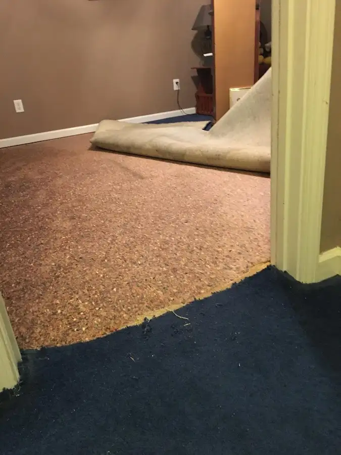 Carpet pad removal revealing water damage during Drying & Dehumidification in Eau Claire