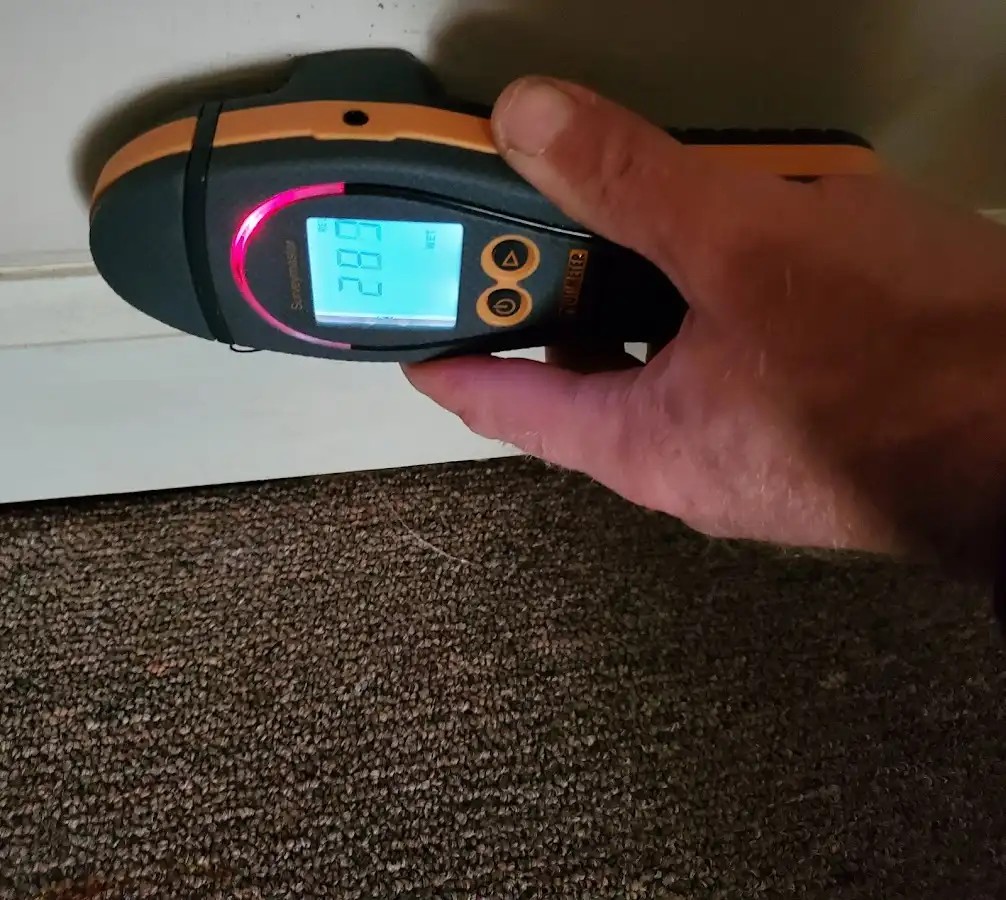 Moisture detection at baseboard during Sewage Cleanup & Sanitation in Eau Claire